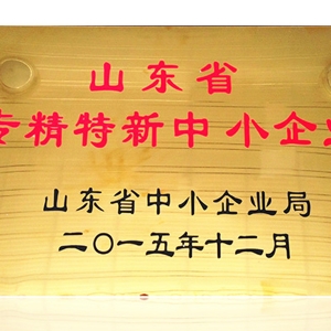 山东省专精特新中小企业
